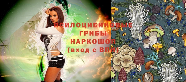 винт Армянск