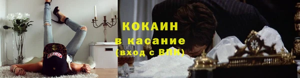меф Арсеньев